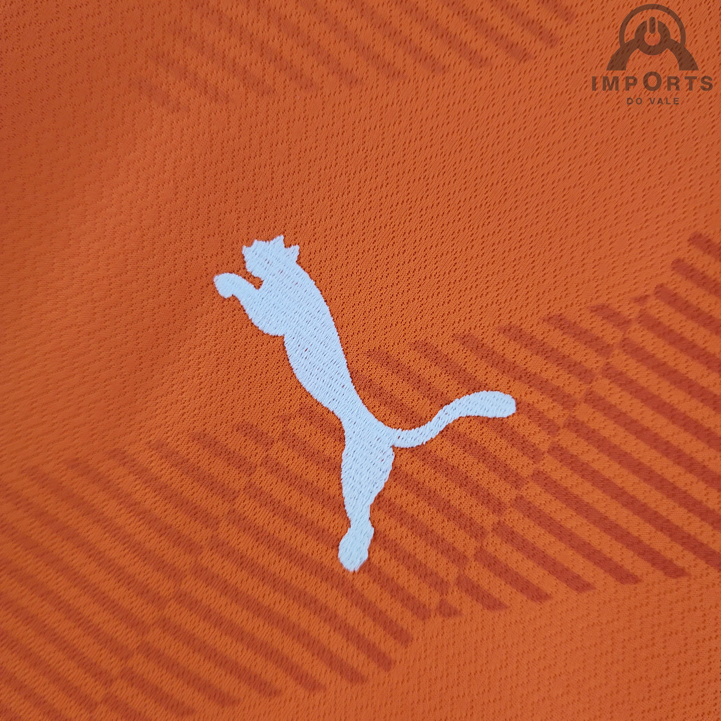 Camisa Palmeiras 22/23 Goleiro + Personalização Grátis - Imports do vale