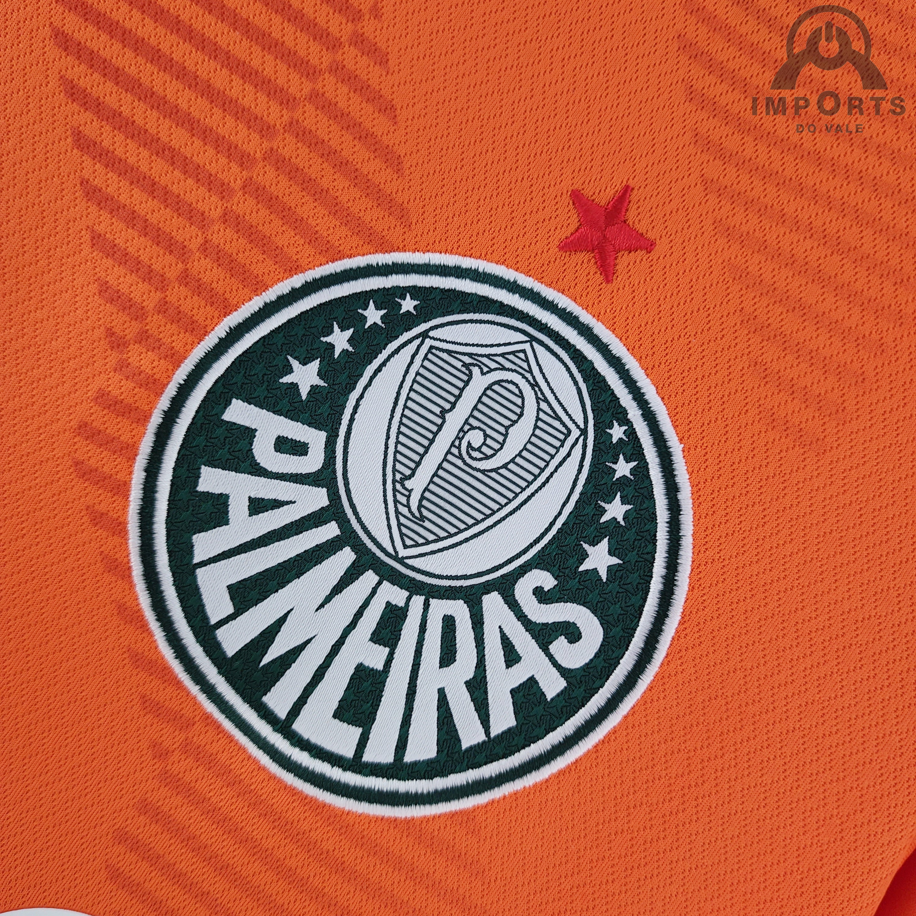 Camisa Palmeiras II 21/22 Versão Torcedor Libertadores + Personalização  Grátis - Imports do vale