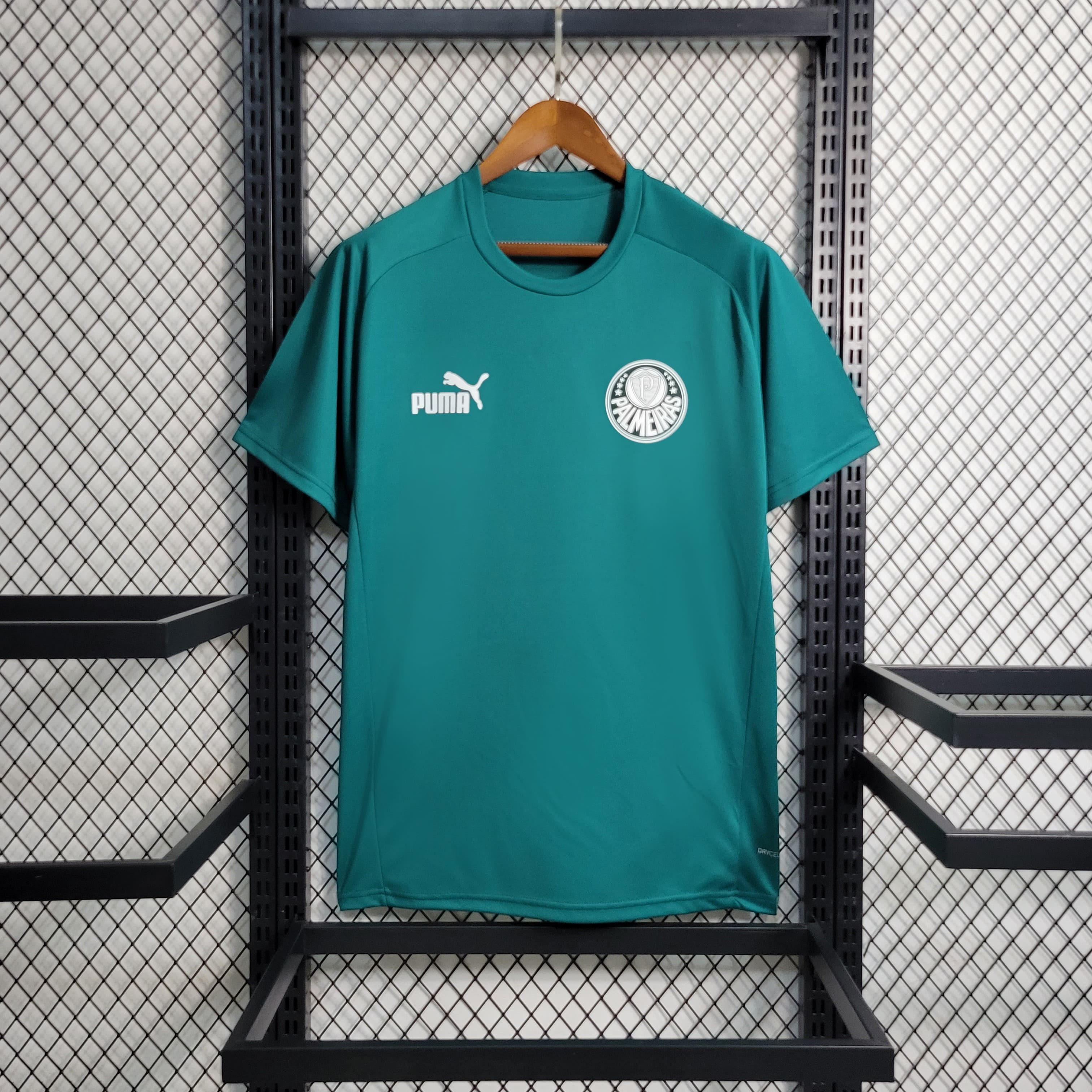 Camisa Palmeiras 23/24 Treino - Verde Claro
