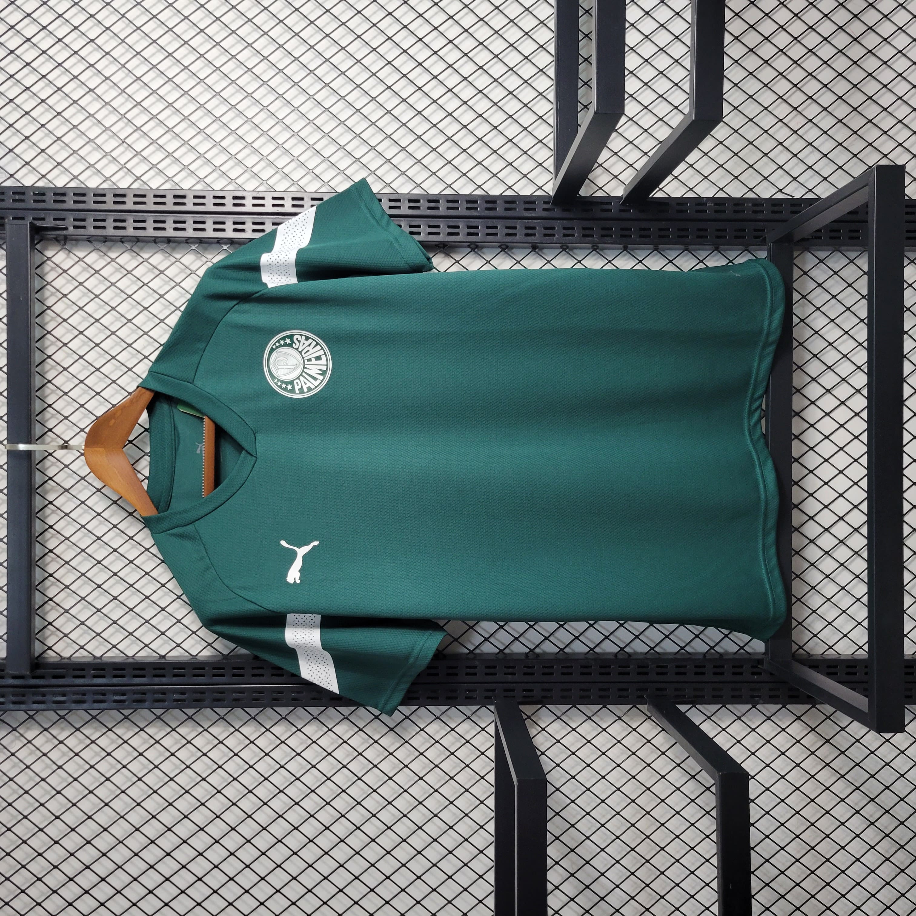 Camisa Palmeiras 23/24 Treino - Verde