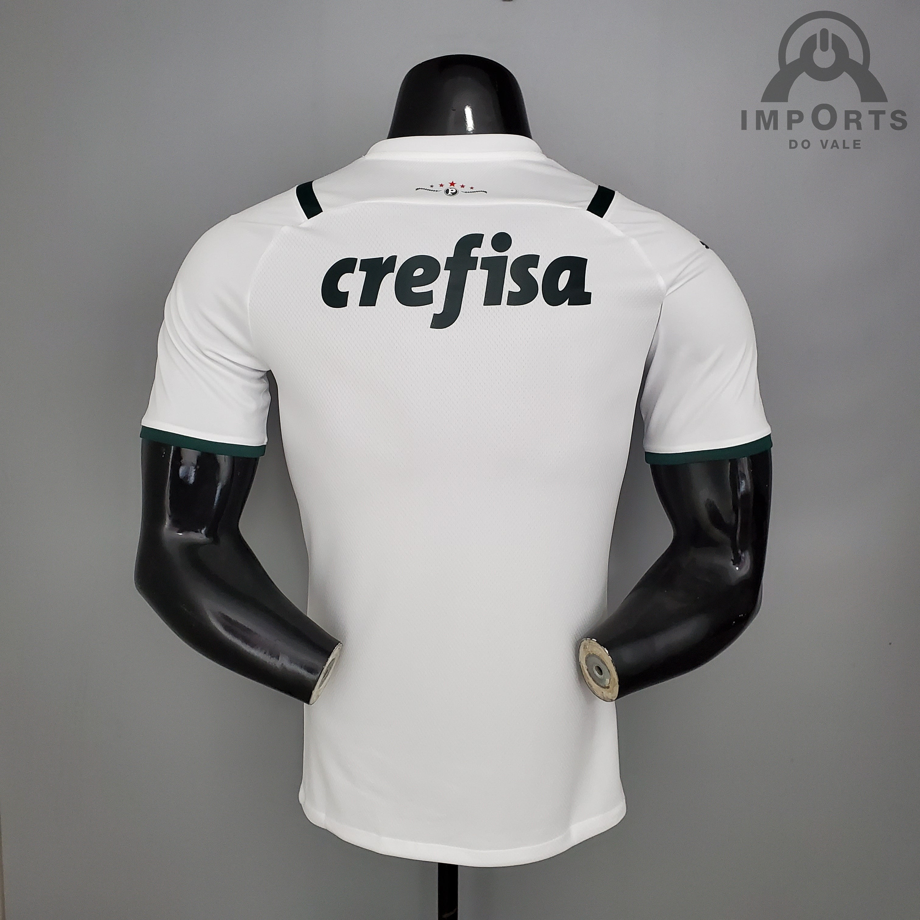 Camisa Palmeiras Ed.Especial Campeão Mundial 1951 Versão Torcedor +  Personalização Grátis - Imports do vale