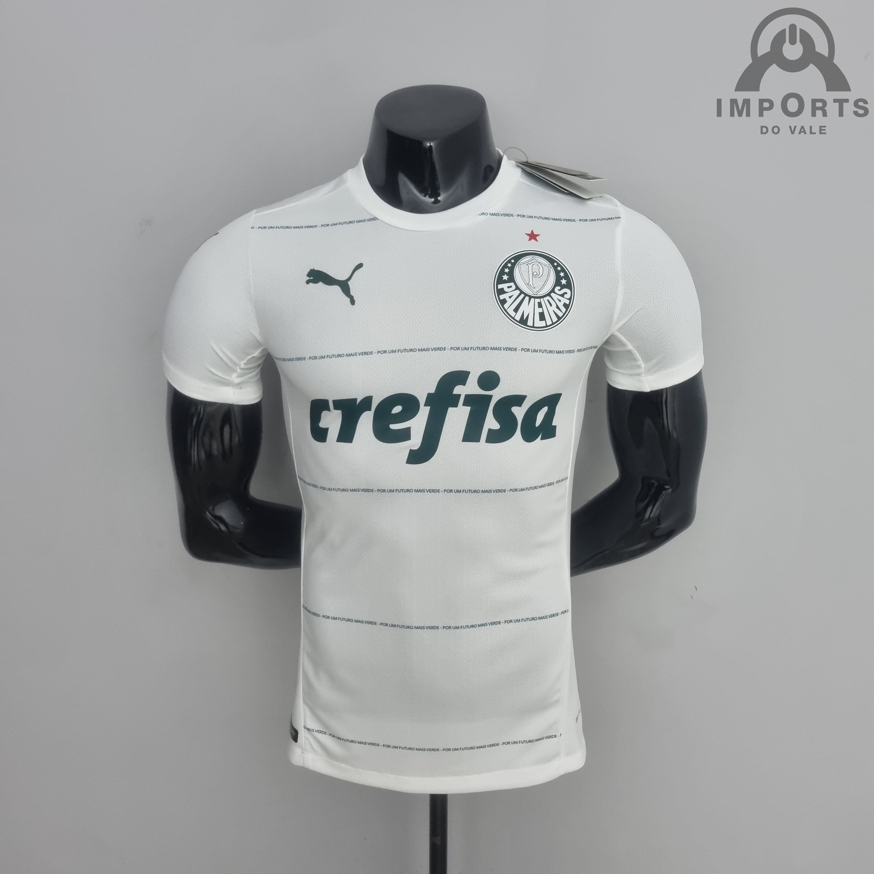 Camisa Palmeiras 22/23 Goleiro + Personalização Grátis - Imports do vale