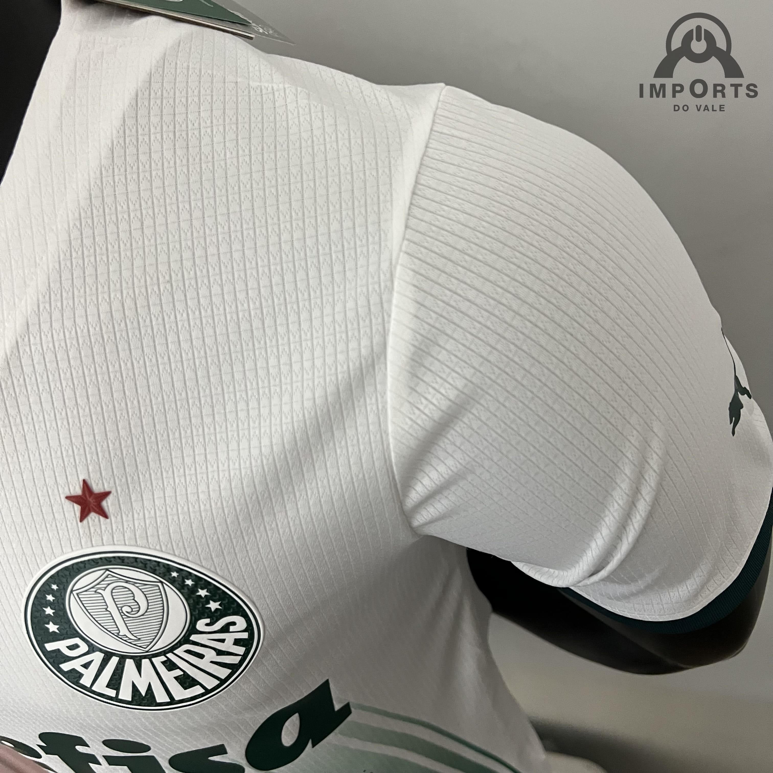 Camisa Palmeiras II 21/22 Versão Torcedor Libertadores + Personalização  Grátis - Imports do vale