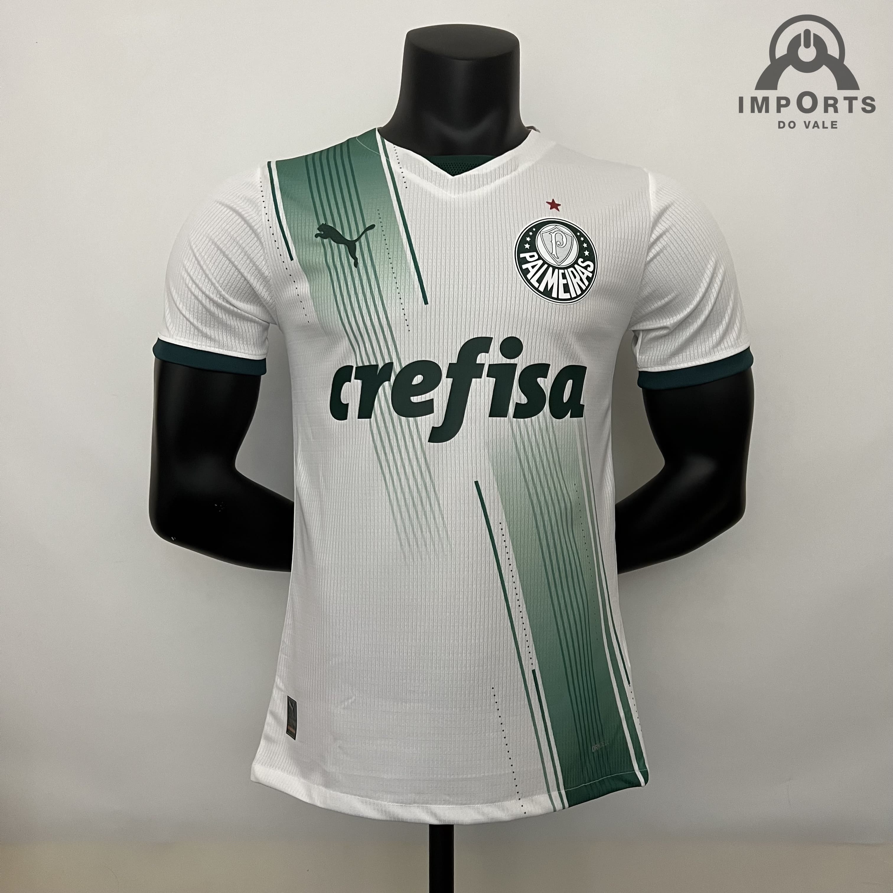 Camisa Palmeiras II 21/22 Versão Torcedor Libertadores + Personalização  Grátis - Imports do vale