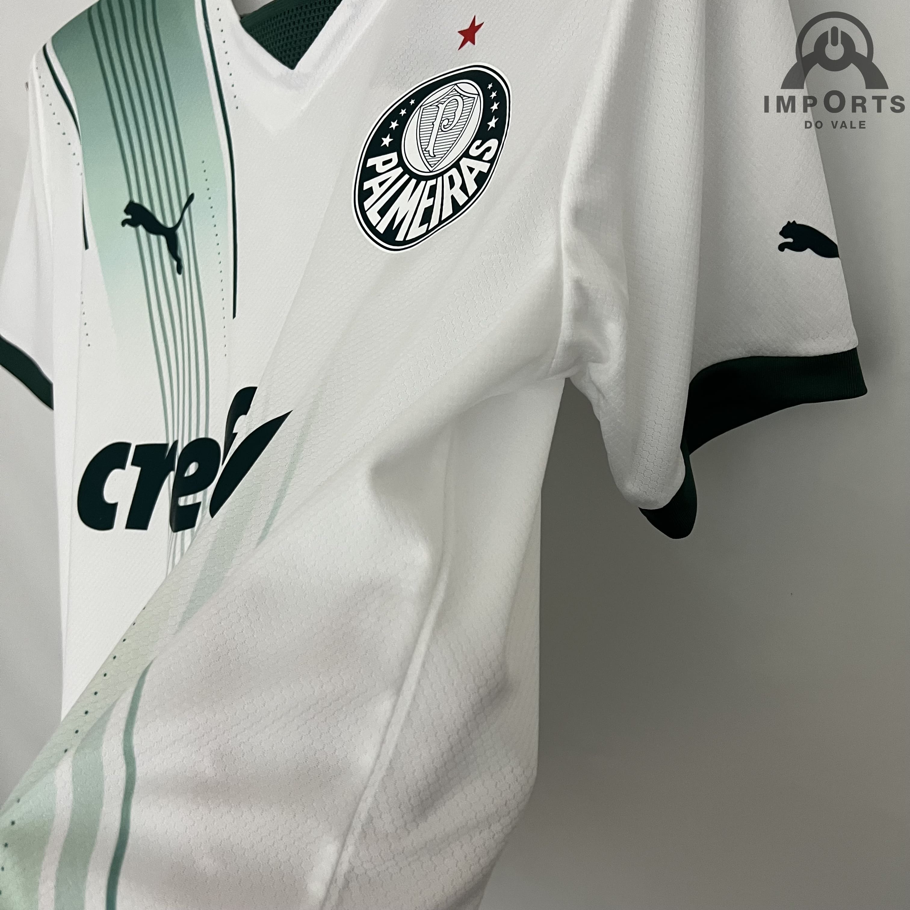 Camisa Palmeiras II 21/22 Versão Torcedor Libertadores + Personalização  Grátis - Imports do vale