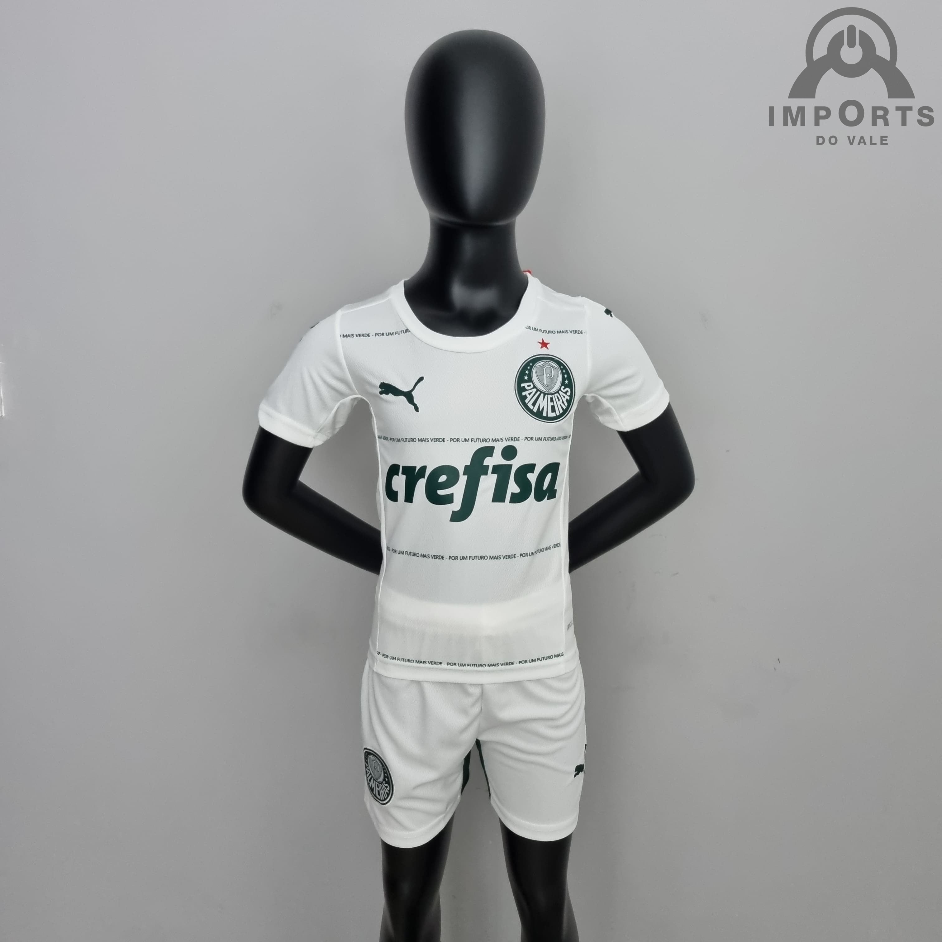 Camisa Palmeiras II 21/22 Versão Torcedor Libertadores + Personalização  Grátis - Imports do vale