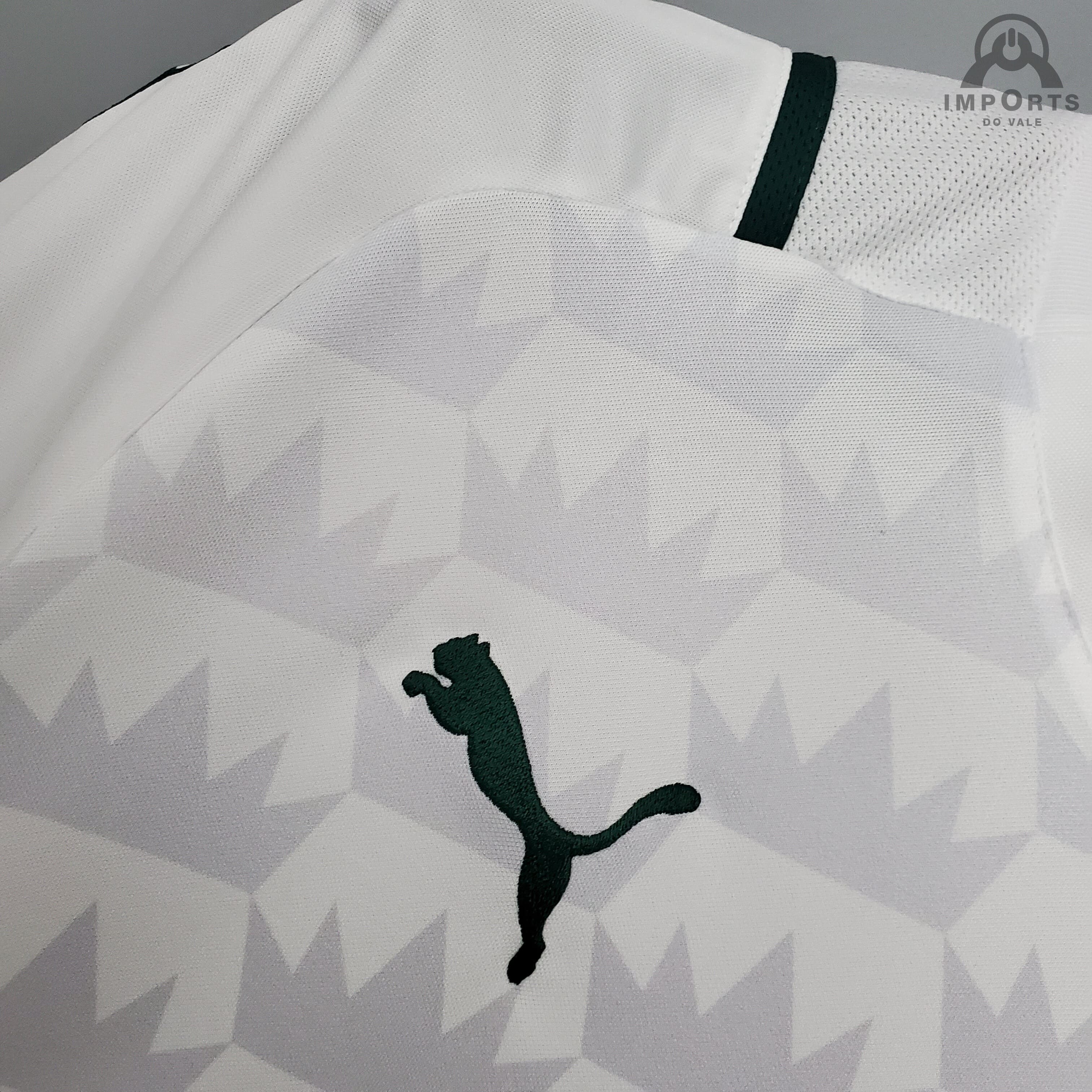 Camisa Palmeiras Ed.Especial Campeão Mundial 1951 Versão Torcedor +  Personalização Grátis - Imports do vale