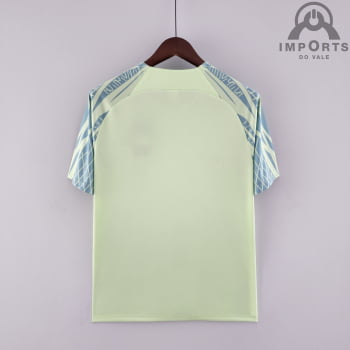 Camisa da Seleção Brasileira 2022 Treino Versão Torcedor - Verde