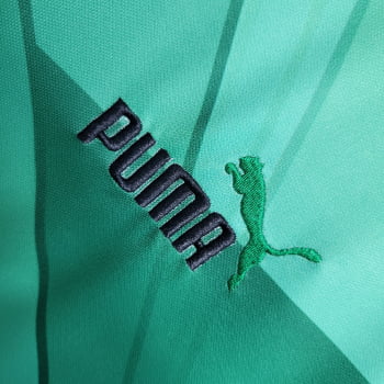 Camisa Gola Polo Palmeiras 23/24 Ed. Especial Verde