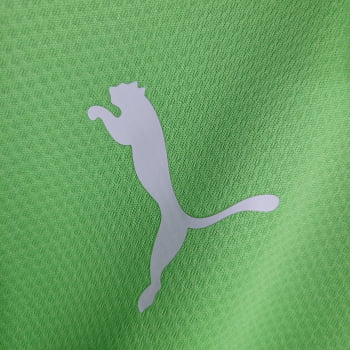 Camisa Gola Polo Palmeiras 23/24 Treino - Verde