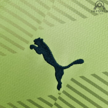 Camisa Palmeiras 22/23 Goleiro Personalização Grátis - Verde 