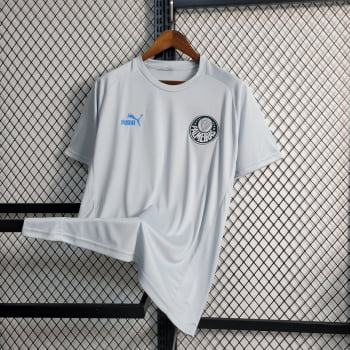 Camisa Palmeiras 23/24 Treino - Cinza