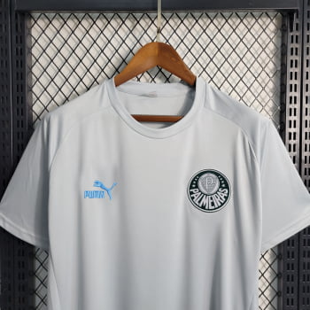 Camisa Palmeiras 23/24 Treino - Cinza