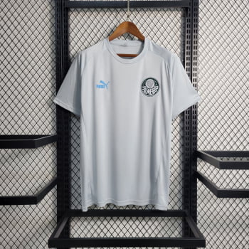 Camisa Palmeiras 23/24 Treino - Cinza