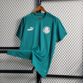 Camisa Palmeiras 23/24 Treino - Verde Claro