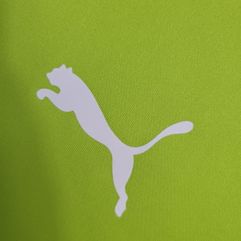 Camisa Palmeiras 23/24 Treino - Verde Neon