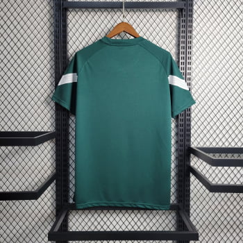 Camisa Palmeiras 23/24 Treino - Verde
