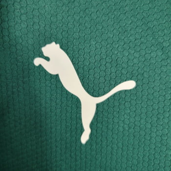 Camisa Palmeiras 23/24 Treino - Verde