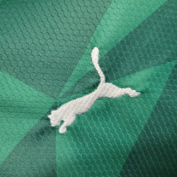 Kit Infantil Palmeiras I 23/24 + Personalização Grátis 